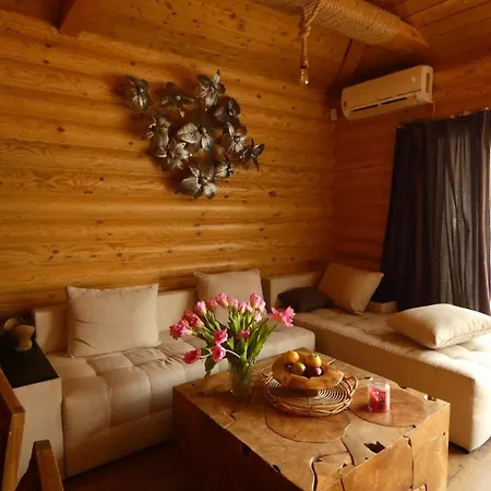 стилни и луксозни за разпускане *